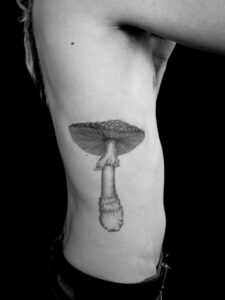 mushroom stick and poke