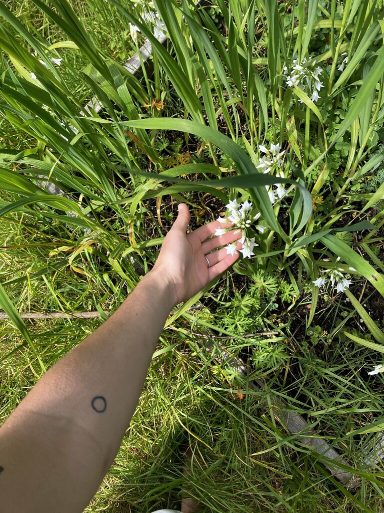 tattooed wrist with circle and plants