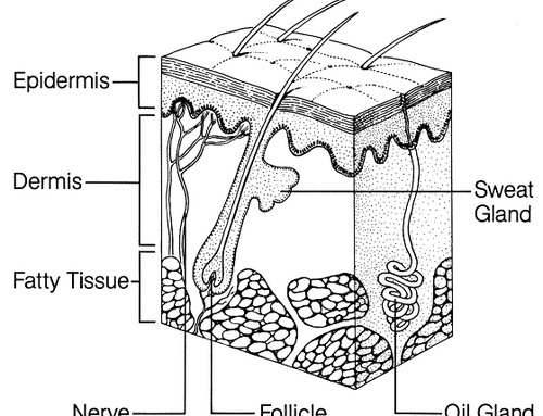 How to Stick and Poke